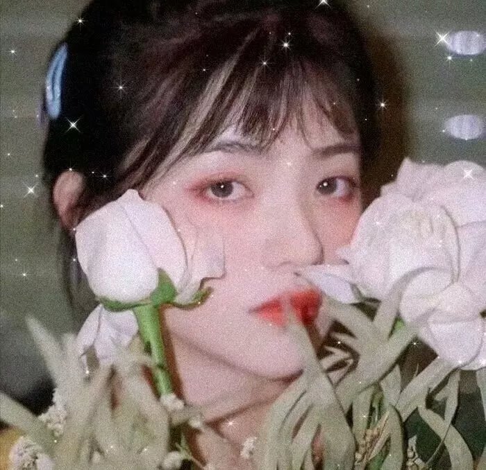鲨人树儿